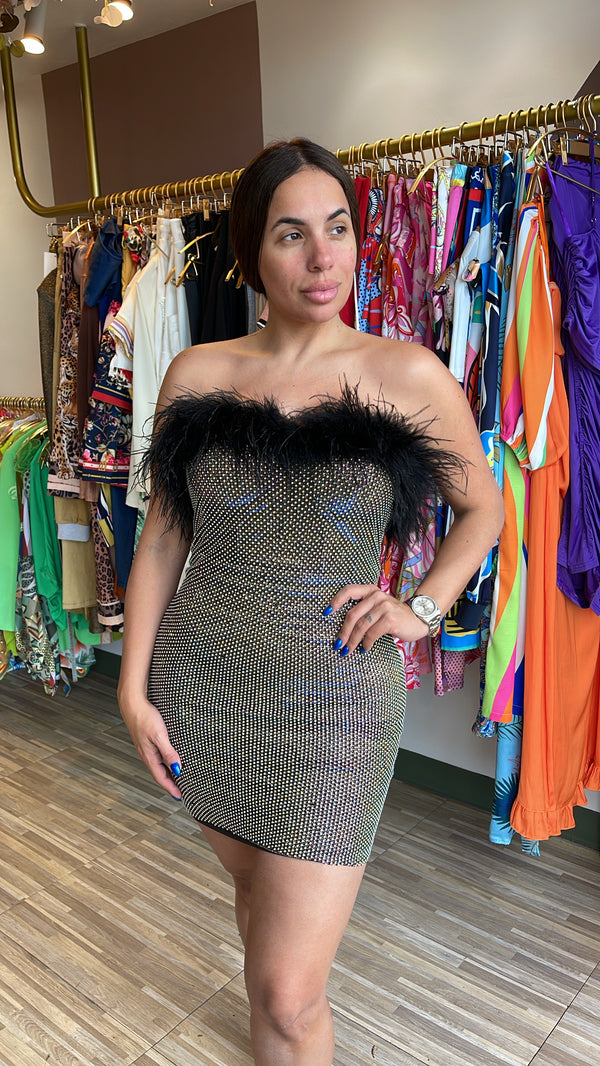 Feathers and Glitter Dress