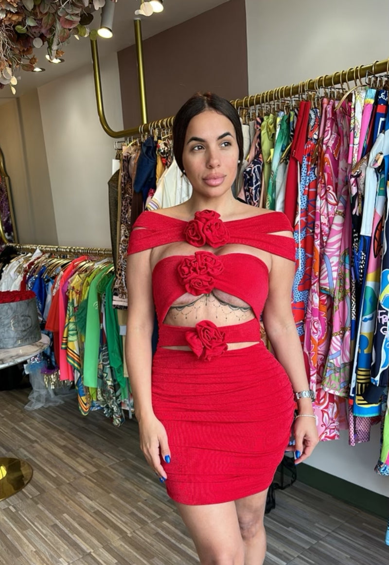 Red Sexy Dress